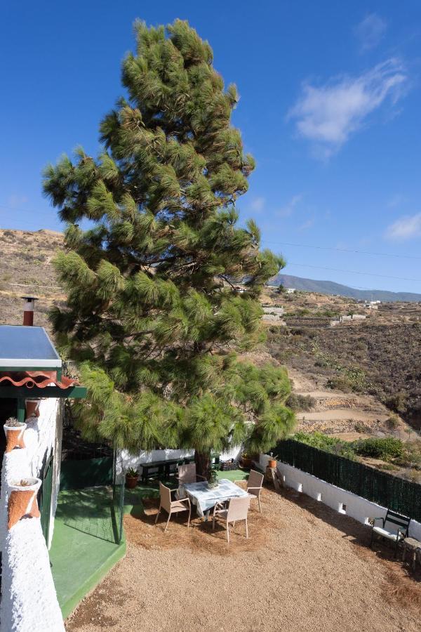 La Zarza Rural Experience By Sunkeyrents Villa Santa Cruz de Tenerife Ngoại thất bức ảnh